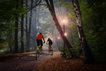 Golden shine autumn panorama scene in the forest, the morning sun shining through the trees, blue sky in background.