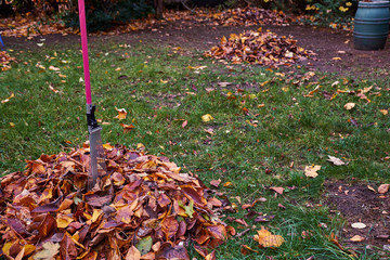 Laub im Garten, Herbst, Gartenarbeit, Laubhaufen, bunte Blätter, Jahreszeiten