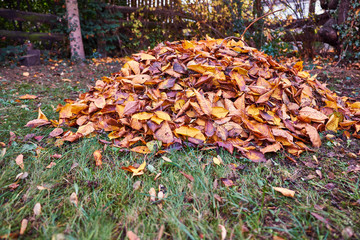 Laub im Garten, Herbst, Gartenarbeit, Laubhaufen, bunte Blätter, Jahreszeiten