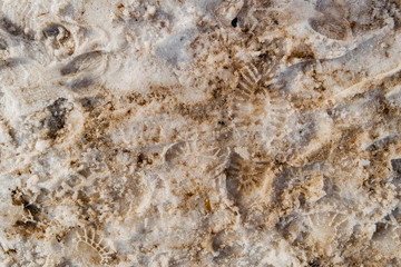Dirty footprints in the snow in the spring. Footprints in the snow. Snowbreak, thaw. Spring. Snow background. Slush