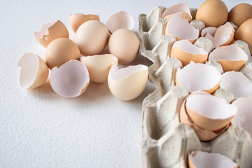 Eggs and shkarlupa halves of eggs in a tray.