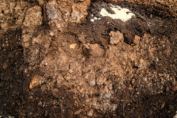 Closeup soil texture. Clay soil. Soil texture background. Abstract ground. Natural abstraction