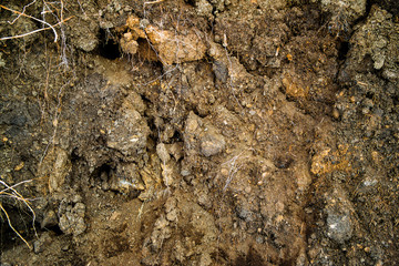Closeup soil texture. Clay soil. Soil texture background. Abstract ground. Natural abstraction
