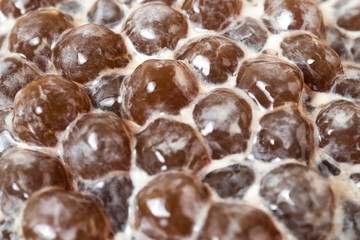 A glass cup of pearl milk tea (also called bubble tea) and a plate of tapioca ball on wooden background. Pearl milk tea is the most representative drink in Taiwan. Taiwan food . With copy space.