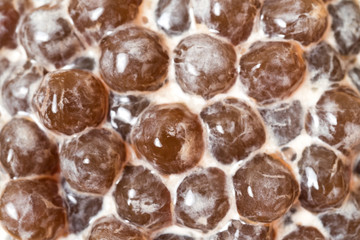 A glass cup of pearl milk tea (also called bubble tea) and a plate of tapioca ball on wooden background. Pearl milk tea is the most representative drink in Taiwan. Taiwan food . With copy space.