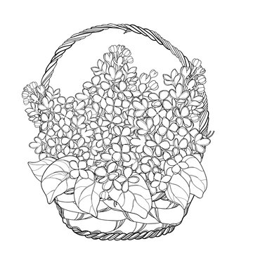 basket of lilacs black and white clip art preview