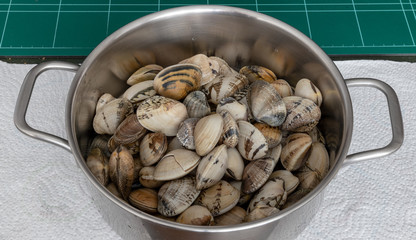 Almejas