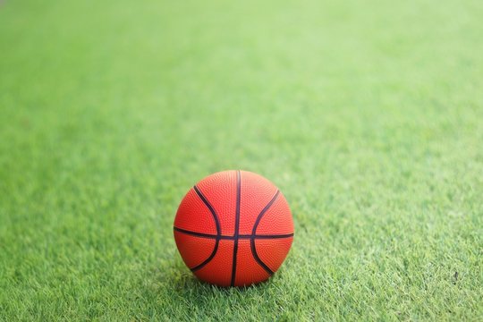 Basketball on the green grass in the garden
