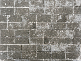 Fototapeta premium Tratuary. walking path of old chipped tiles.