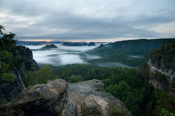 Nebliger Morgen in der S&auml;chsischen Schweiz