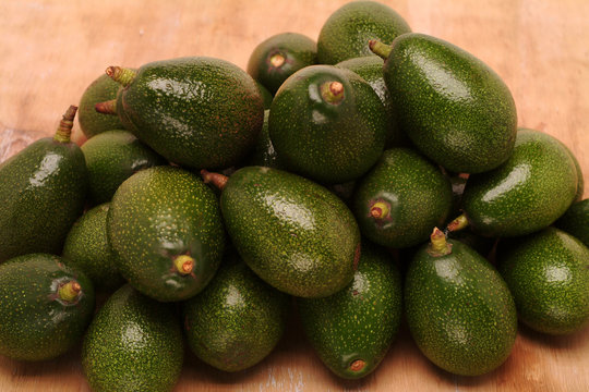รูปภาพPalta – เลือกดูภาพถ่ายสต็อก เวกเตอร์ และวิดีโอ2,648 | Adobe Stock