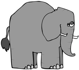 Shy elephant standing sideways