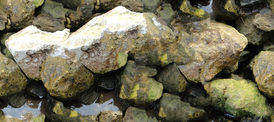 Obraz premium seamless texture, stones by the water, stone beach