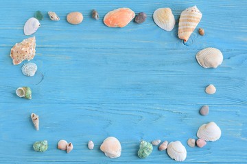 Colorful beautiful tropical seashells with selective focus on blue wooden background. Summer vacation backdrop with different exotic sea shells. Beautiful summer flat lay with set of ocean shell