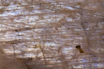 Natural belomorite texture abstract background