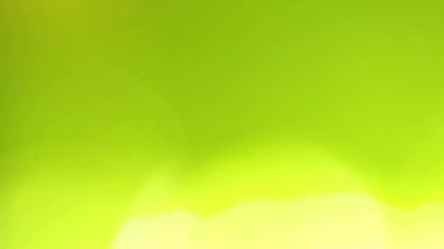 Green and yellow natural sunny background. Real time full hd video footage.