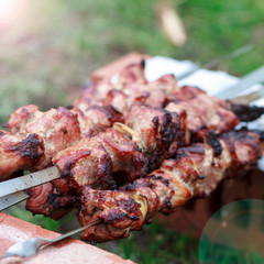 Grilled shashlik on coals, meat with onions on skewers lie on bricks, against the background of green grass, outdoors.