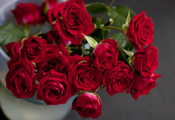Red Roses in white vase
