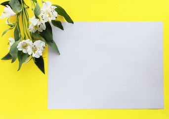 white flowers green leafs spring floral  background