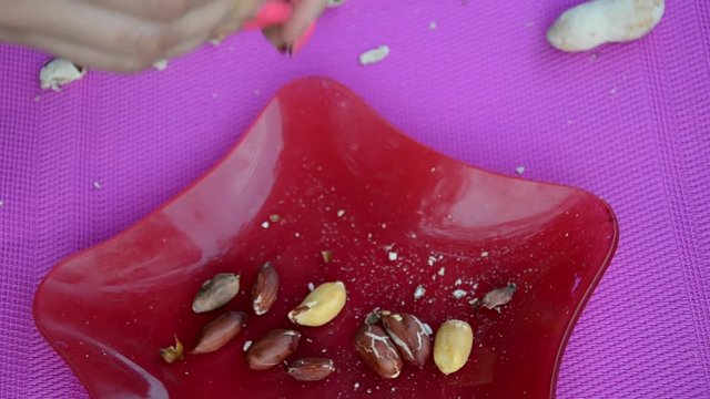Girl cleans a peanut. Pulls nuts from husks on burgundy plate, raspberry background. peanut in a shell. food background of peanuts