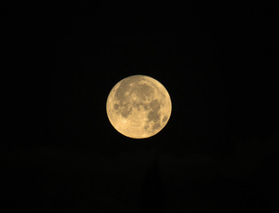 Fototapeta na wymiar Rising Cold Moon on Black Background