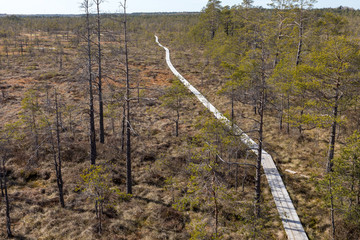Fototapeta premium National swamp park in Kemeri