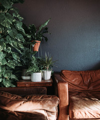 Comfortable sitting area