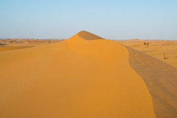 Fototapeta na wymiar Schöne Düne in der Sahara
