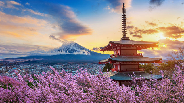 Beautiful landmark of Fuji mountain and Chureito Pagoda with cherry blossoms at sunset, Japan. Spring in Japan.