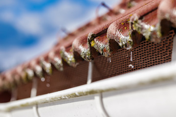 Close-up with selective focus of old red concrete tiled roof and water dropping into white metal...