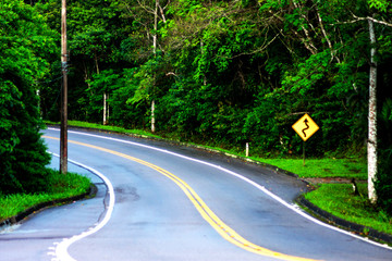 Curva da estrada