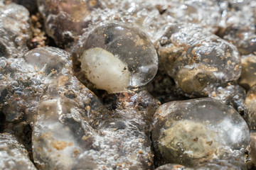 Frozen water. Weather forecast. Cooling.