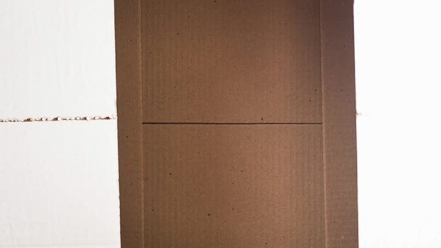Closing box close up. Empty box for things.