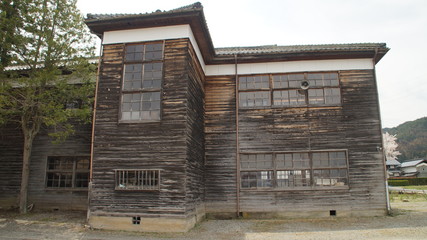 japanese old school and cherry Blossoms