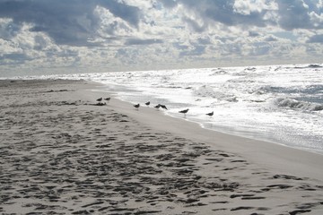 Plaża Morze Bałtyckie © Tomasz