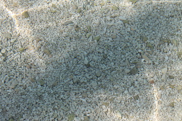 Sea pebbles on the seabed and clear clear water with sun glare and space for copying. Concept - sea vacation of the Adriatic sea in Croatia