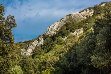 Sito archeologico ritrovamenti resti umani preistoria - Sirri - Carbonia - Sardegna