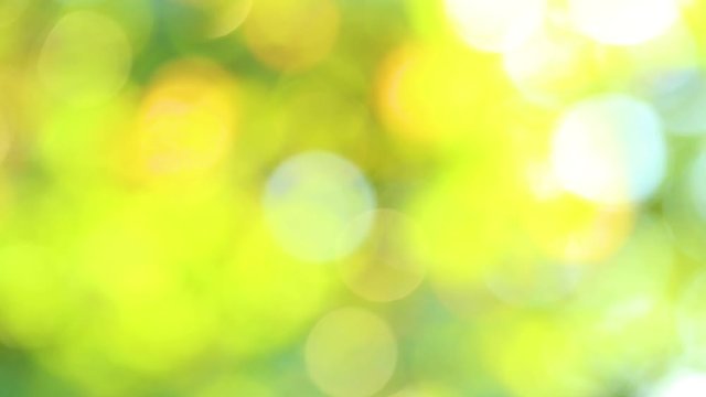 Green and yellow natural blurry round bokeh sunny background. Real time full hd video footage.