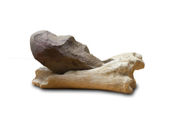 Specialized primitive lithic tool used for fat removal from bones