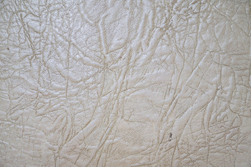 Old white skin texture with folds on the surface