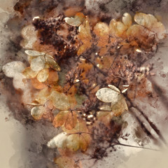 Watercolour painting of Stunning dried hydrangea hortensia flowers cross processed for retro look