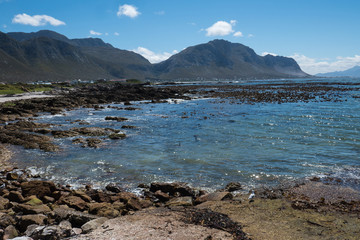 Veiw over the Atlantic Ocean at Bettys Bay in Western Cape, South Africa.