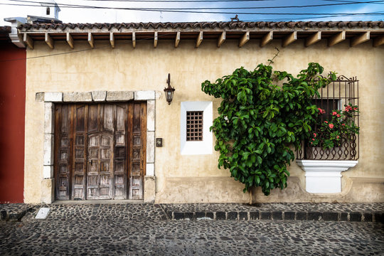 Traditional collonial house with tree, Antigua, Guatemala