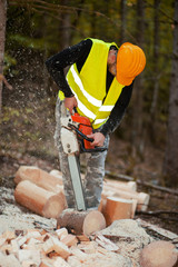 Lumberjack working with chainsaw in a forest