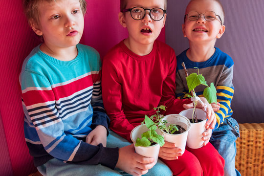 Happy kids in glasses with flower pot for growing seedlings. Bright emotions. Green plant in black earth. Children is happy at home. Preparation for new season of farmer. Tomato, eggplant, cucumber
