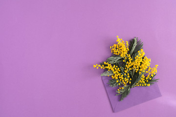 Flowers composition romantic. Yellow flowers of mimosa on purple background. Spring floral background for greeting card. Flat lay, top view, copy space