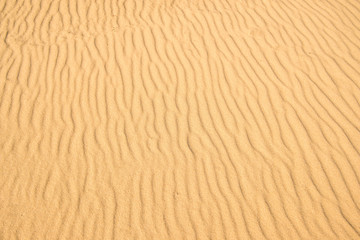 Fototapeta na wymiar Sand of a beach with wave patterns