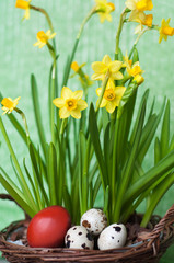 Easter eggs and plants