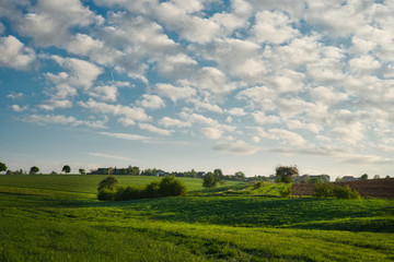 Fototapeta na wymiar Frühlingslandschaft mit Schächenwolken