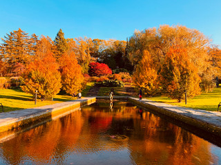 Obraz premium autumn in park